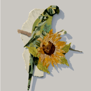 Parrot with Sunflower